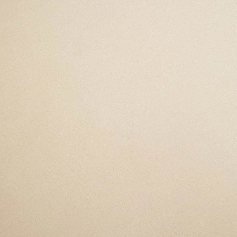 Ensemble de chaises de salle à manger modernes en velours luxueux,pour salle à manger, salon et chambre à coucher (lot de 2), Beige