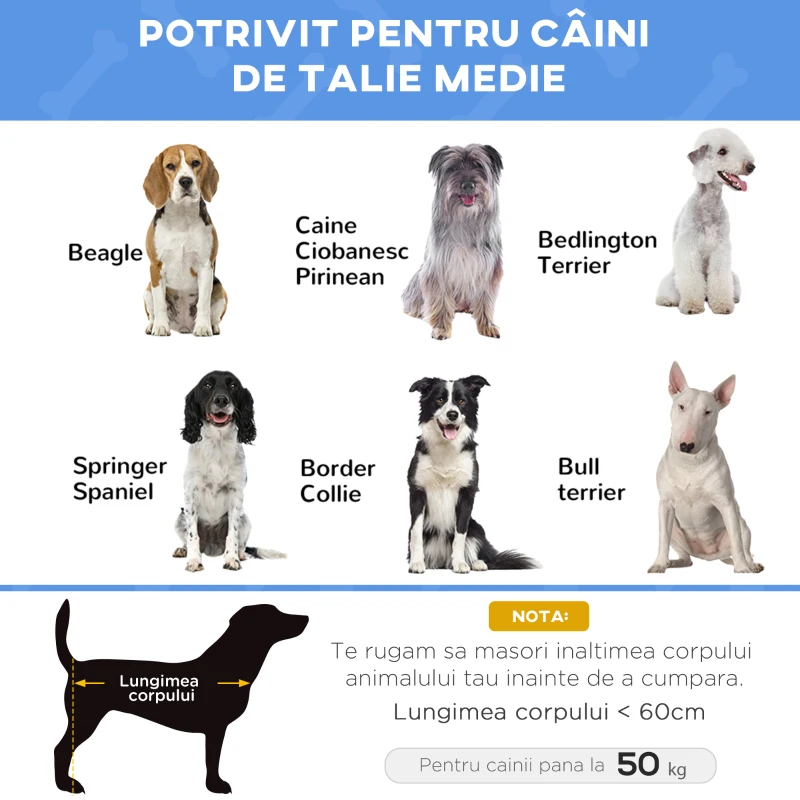 PawHut Pat Ridicat pentru Câini și Pisici cu Cadru Metalic, 76x61x18 cm, Albastru