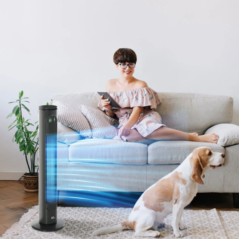 HOMCOM Säulenventilator 45W Fernbedienung Timer 3 Modi 3 Geschwindigkeiten oszillierend leise Ø 22 x 77 cm dunkelgrau