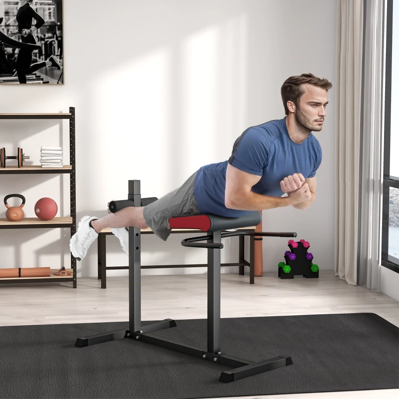 SPORTNOW Entraîneur abdominal et dorsal, Active les muscles, 6 positions de rouleaux pour les jambes, Poignées latérales, Cadre en acier