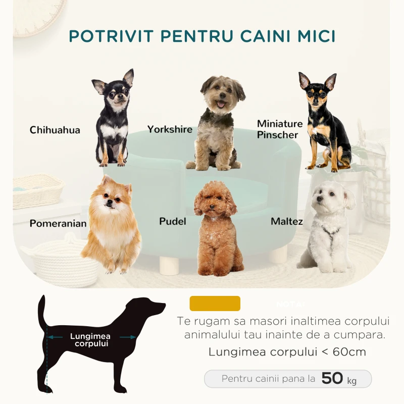 PawHut Canapea pentru Caini si Pisici cu Spatar si Perna Detasabila Verde