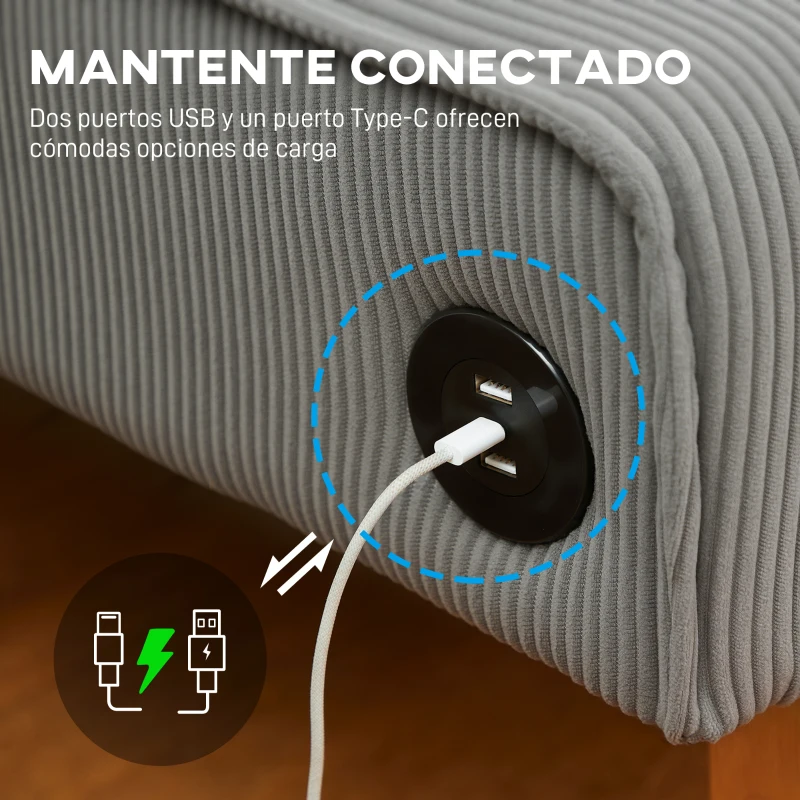 HOMCOM Sofá de 2 Plazas Tapizado en Pana con 2 Puertos USB 1 Puerto Tipo-C y Patas de Madera Carga 220 kg 110x60x85 cm Gris