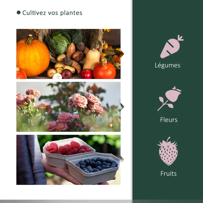 Outsunny Serre de jardin mini serre serre à tomates 2 x 1 x 0,8 m porte zippée bâche PE acier vert