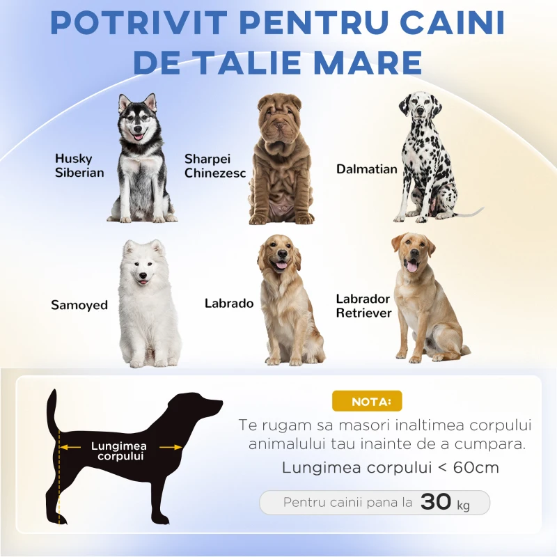 PawHut Hundebett Hundesofa Haustiersofa, Eukolyptusholz, 98 x 67 x 25 cm, Grün