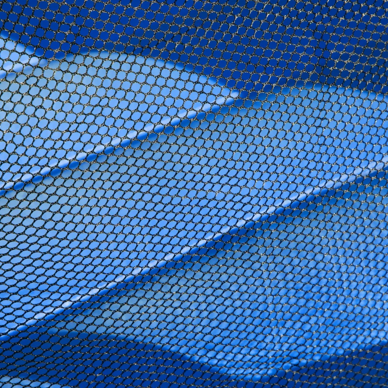 HOMCOM Hüpfburg mit Rutsche und Sicherheitsnetz, bis 100 kg, 3-10 Jahre, 300x180x160cm