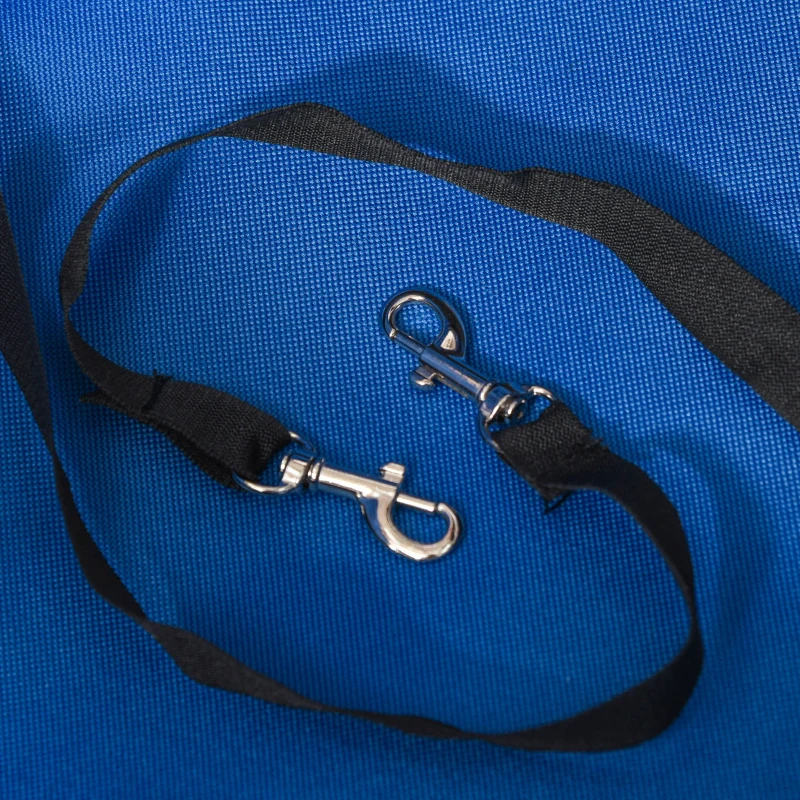 PawHut Passeggino per Cani Pieghevole con Guinzaglio di Sicurezza e Cestino Portaoggetti, Blu