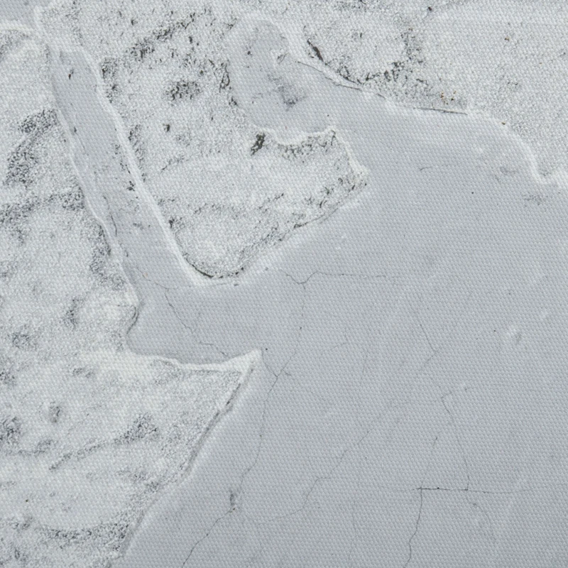 HOMCOM Stampa su Tela 120x90cm per Casa e Ufficio, Tela in Legno di Pino e Inchiostro in Resina Poliuretanica, Grigia e Bianca