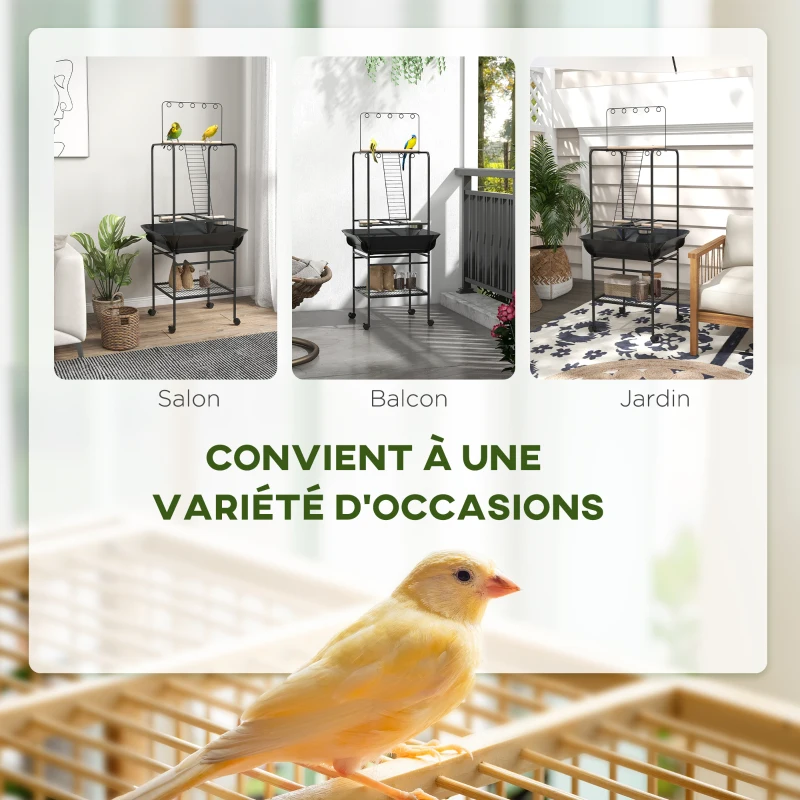 PawHut Aire de jeu sur roulettes pour oiseaux 3 perchoirs en bois 1 échelle 2 mangeoires en inox 155 cm gris foncé