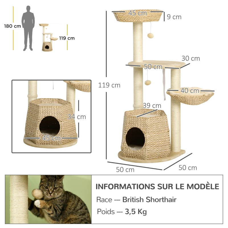 PawHut Arbre à chat arbre à grimper griffoir pour chat hauteur 119 cm colonnes renforcées avec niche hamac 2 balles suspendues