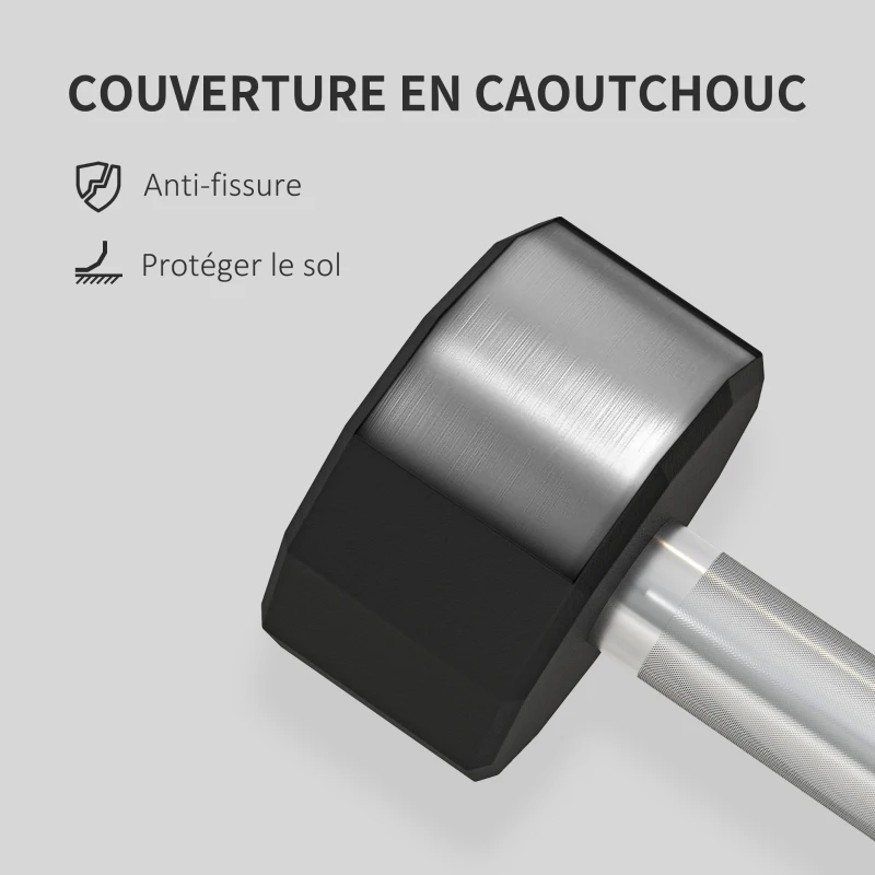 SPORTNOW Lot de 2 haltères poignée antidérapante, fitness, sport à domicile, 2 x 10kg, noir