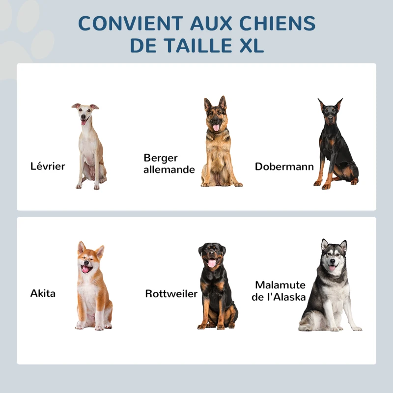 PawHut Gamelles chiens surélevées gamelle double chien chat porte-gamelles surélevé dim. 60L x 30l x 41H cm blanc