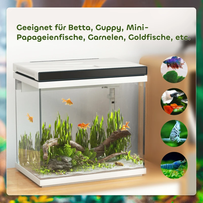 PawHut 26 Liter Aquarium mit Filter, LED-Beleuchtung, Wasserpumpe, für verschiedene Fischarten, ca. 38 x 26 x 38 cm