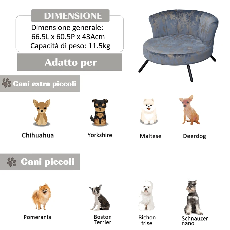 PawHut Divano per Cani di Piccola Taglia e Gatti con Rivestimento in Velluto Blu e Oro