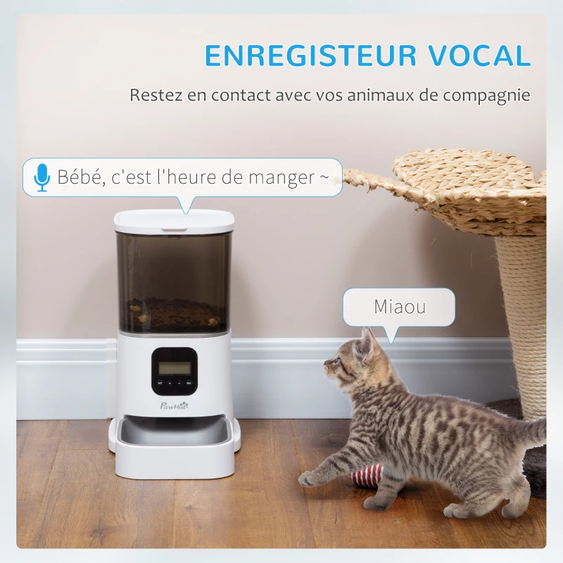 PawHut Distributeur 6L automatique de croquettes pour chien chat programmable avec Bol en Acier Inoxydable 4 repas - réservoir avec enregistrement vocal