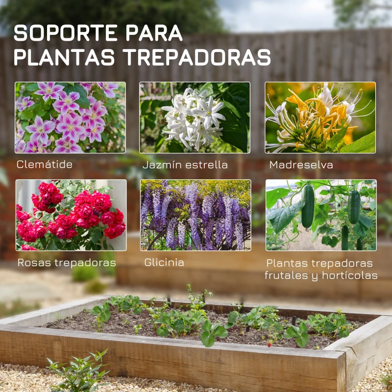 Outsunny Juego de 2 Enrejados de Jardín Soportes para Enredaderas de Acero para Plantas Trepadoras en Patio 55x128 cm Negro