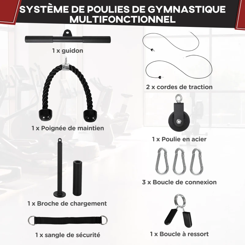 SPORTNOW Système de poulie d'entraînement des triceps pour traction LAT biceps, triceps, épaules, dos, avant-bras