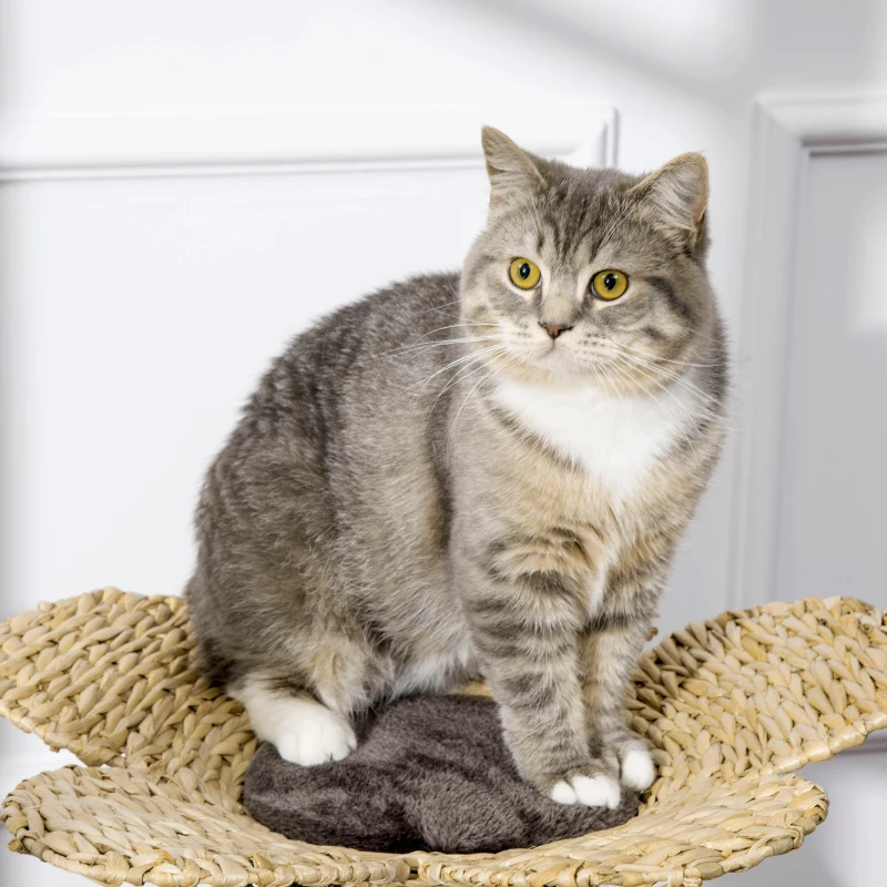 PawHut Árbol Rascador para Gatos Torre para Gatos con Camas Forma de Flor Postes Rascadores 50x50x69 cm Marrón y Beige