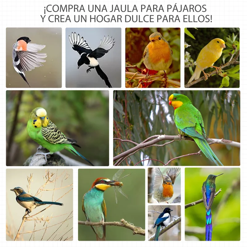 PawHut Jaula para Pájaros de Madera con 3 Puertas 4 Perchas Bandeja Extraíble y Techo Asfáltico 80,5x57x153 cm Gris Claro