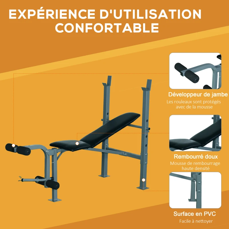 HOMCOM Banc de musculation Fitness banc d'haltérophilie dossier réglable + Ensemble d'haltères courtes ou longues 20 Kg barre d'extension incluse entraînement musculaire & haltérophilie