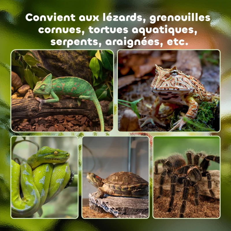 PawHut Boîte à reptiles habitat de terrarium transparent couvercle coulissant treillis métallique noir