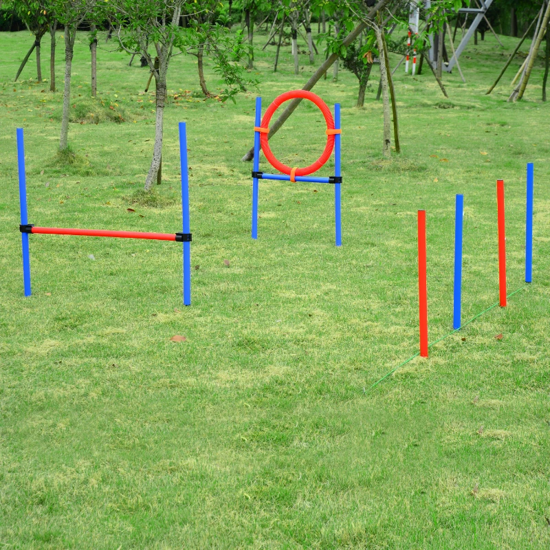 PawHut Set Agility Entrenamiento Perros Agilidad Salto Polo Tunel Equipo Azul Rojo NUE
