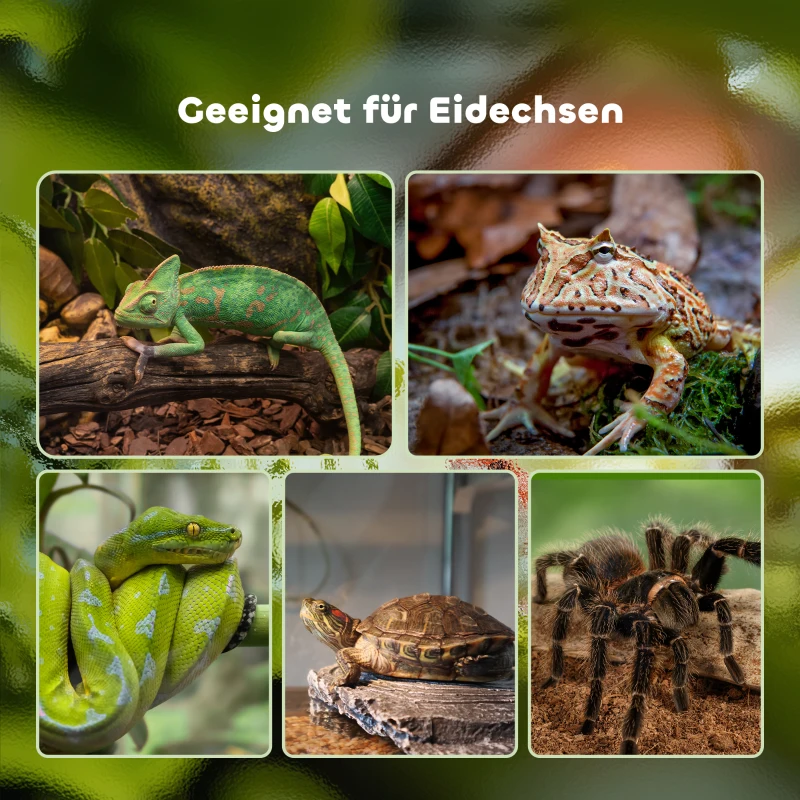 PawHut Terrarium für Reptilien Reptile Fütterungsbox Glasterrarium Amphibien Spinnentiere mit Thermometer Reptilienzuchtbox für Schnecken Amphibien Insekten Schildkröten Schwarz 50 x 30 x 35 cm