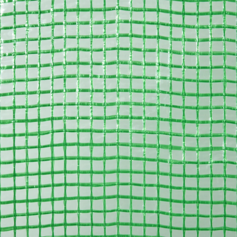 Outsunny Serra da Giardino con Porta a Cerniera e Presa d'Aria, 4 Funi e Paletti Inclusi, 180x100x168 cm, Verde