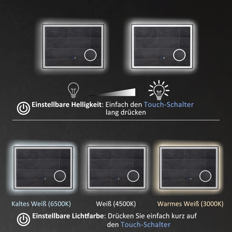 kleankin LED Badezimmerspiegel mit 3x Vergrößerung, Touch-Funktion, Memory-Funktion, kein Beschlagen, 80 x 60 cm