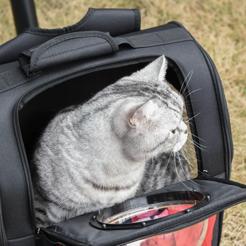PawHut Zaino Portatile per Gatti di Piccola Taglia Pieghevole con Oblò, Trasportino per Cani o Gatti in Oxford, 38x24x38 cm, Nero e Rosso