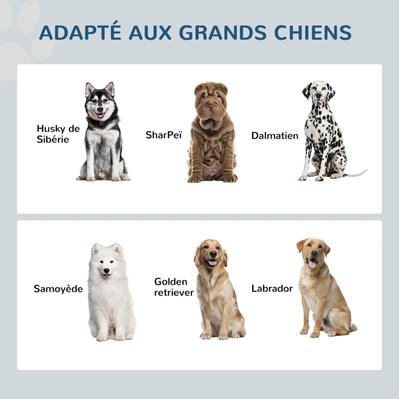 PawHut Gamelle double chien chat - porte-gamelles surélevé rangement 2 en 1 - tiroir, 2 gamelles - acier inox. MDF blanc gris