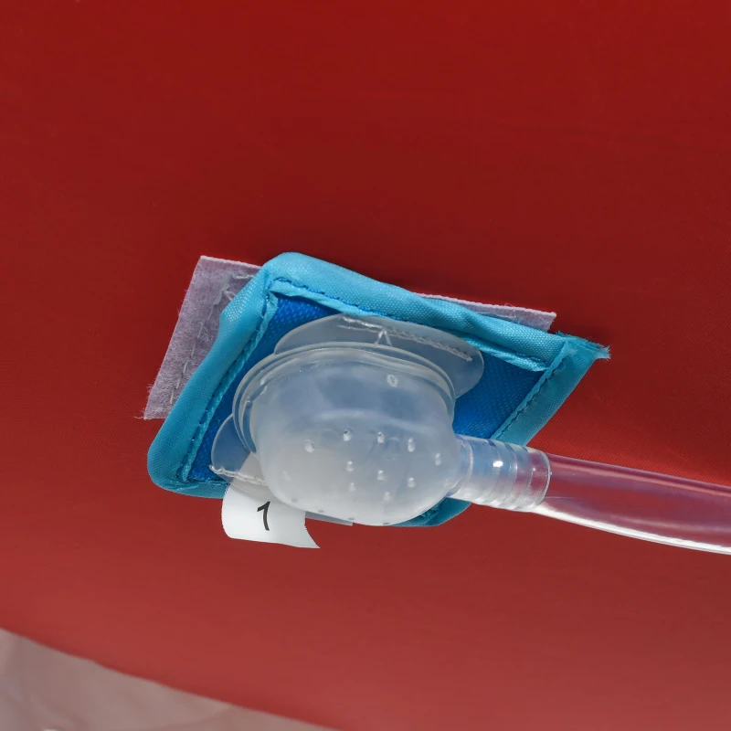 Outsunny Castillo Hinchable para Niños con Tobogán Muro de Escalada Cañón de Agua Temática de Tiburón 440x350x240 cm Multicolor