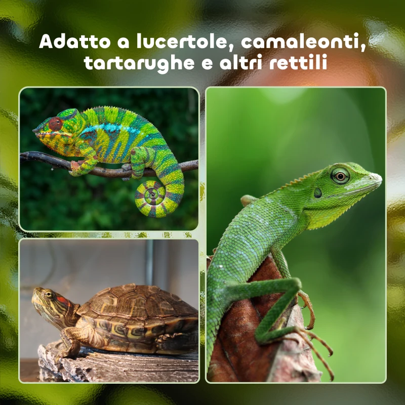 PawHut Terrario per Tartarughe di Terra e Rettili con Termometro 18-34℃, 60x40x40.5 cm, Nero