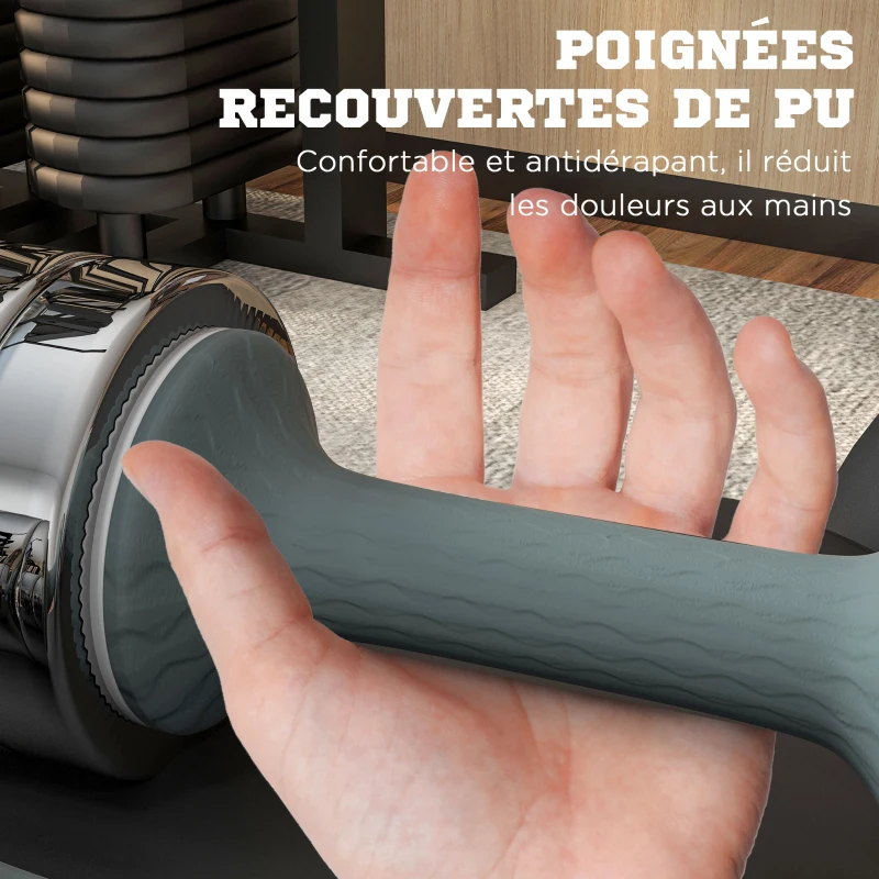 SPORTNOW Set de 2 haltères ensemble musculation 4 disques poids réglables et boîte de rangement gym fitness 2 x 10 kg gris