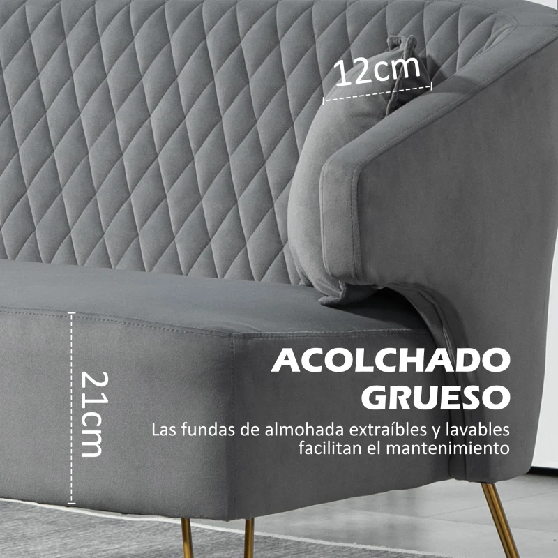 HOMCOM Sofá de 2 Plazas Tapizado en Terciopelo con 2 Almohadas Reposabrazos y Patas de Acero Carga 240 kg 124x69x76 cm Gris
