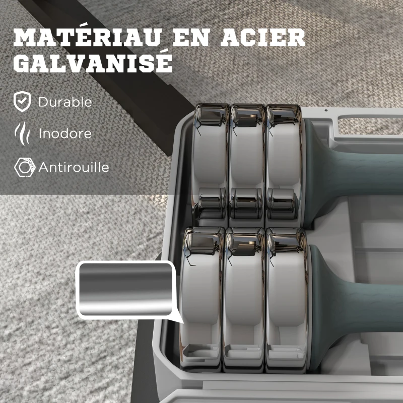 SPORTNOW Set de 2 haltères ensemble musculation 4 disques poids réglables et boîte de rangement gym fitness 2 x 10 kg gris