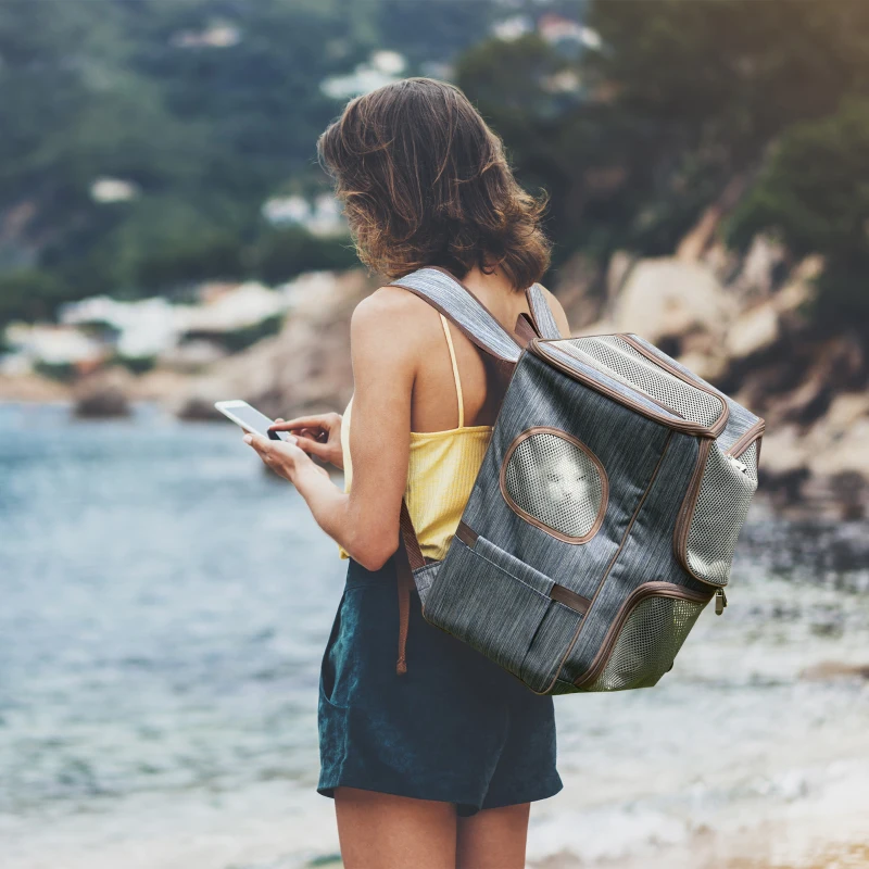 PawHut Zaino per Gatti Trasportino per Cani in Oxford, Cuscino Rimovibile e Lavabile, Inserti Rete Traspirante, 35x28.5x45cm, Blu Marrone