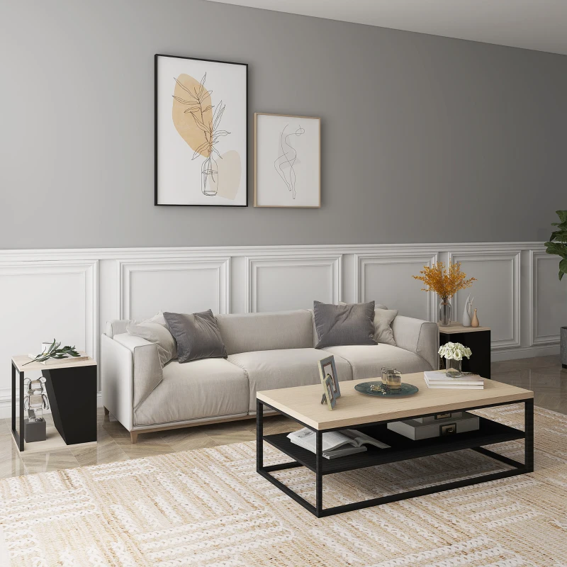 HOMCOM Lot de 2 tables d'appoint bout de canapé avec rangement structure en acier 40 x 40 x 45 cm noir et naturel