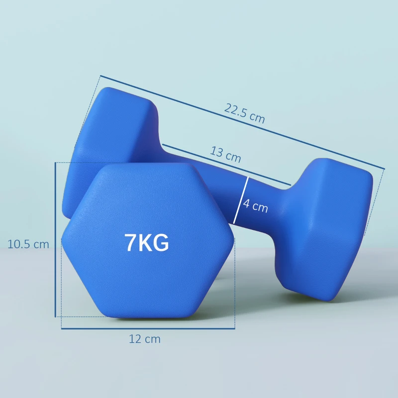 SPORTNOW Set 2 Manubri Esagonali da 2x7kg in Metallo e Plastica con Impugnatura Antiscivolo, 22.5x10.5x10.5 cm, Blu