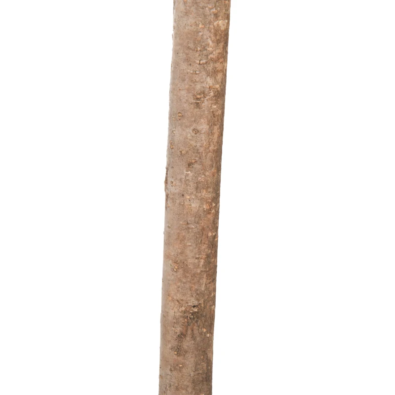 Outsunny Olivo Artificial 90cm con Cañas Naturales Árbol Planta Sintética Decorativa con Maceta Casa Jardín Decoración PE