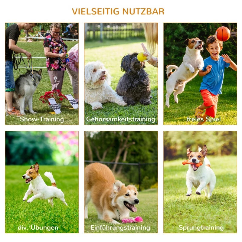 PawHut 3-tlg. Hunde Agility Set Training für Haustiere Hundetrainigsset Inklusive Tasche Leicht zu tragen Kunststoff Weiß+Gelb