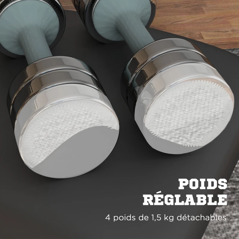 SPORTNOW Set de 2 haltères ensemble musculation 4 disques poids réglables et boîte de rangement gym fitness 2 x 10 kg gris