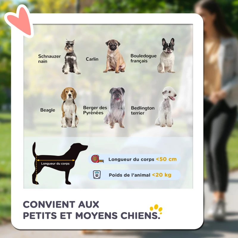 PawHut Poussette pliable animaux chien chat coussin inclus roues avec frein tissu 600D Oxford 102 x 62 x 105 cm gris