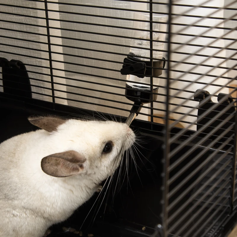 PawHut Jaula Pequeña para Roedores 80x48x58 cm Jaula para Hámster con 2 Puertas 2 Rampas 2 Plataformas Comedero y 2 Asas Portátil para Cobayas Ratoncillos Negro