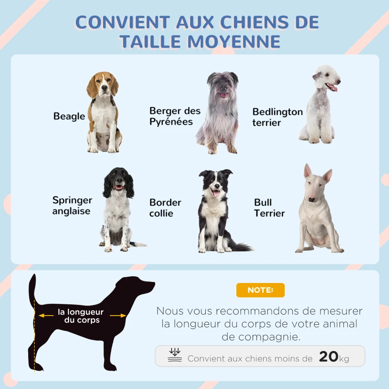 PawHut Niche pour chien extérieure en bois avec plancher amovible abri surélevé en bois pour chiens 75 x 88 x 82 cm gris