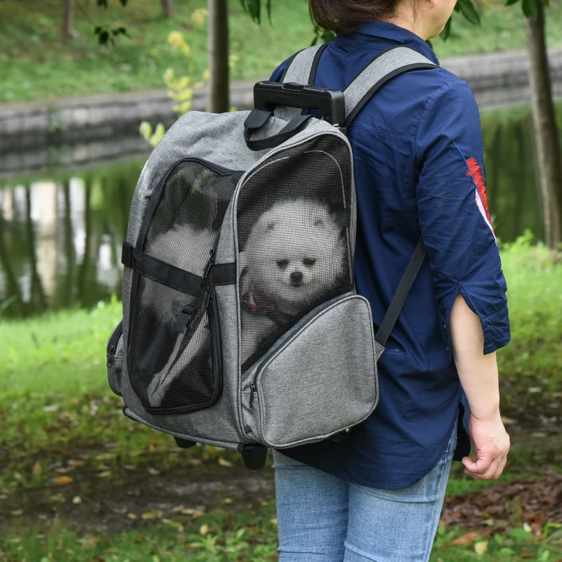 Pawhut Hundetransporttasche, Haustierrucksack, 2-in-1-Design, ausziehbarer Griff, Seitentaschen, Grau, 42 x 25 x 55cm