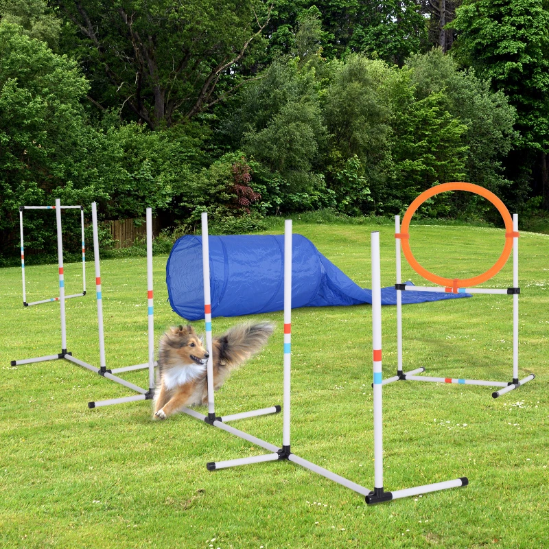 PawHut 5-tlg. Hunde Agility Set Training für Haustiere Hundetrainigsset mit Hundetunnel Inklusive Tasche Leicht zu tragen Polyester Kunststoff Orange
