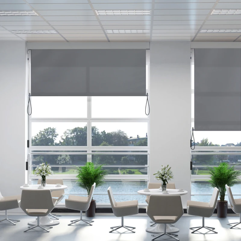 Outsunny Senkrechtmarkise Balkonmarkise Vertikalmarkise Windschutz Seitenrollo Sichtschutz mit Handkurbel Polyesterstoff+Aluminium Dunkelgrau 250 x 140 cm