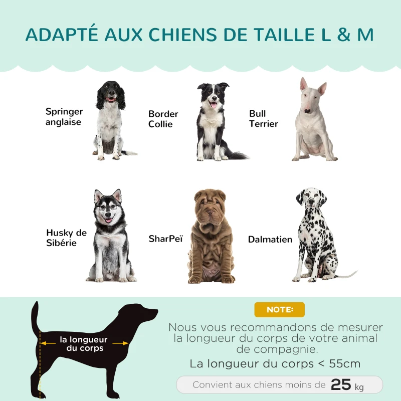 PawHut Canapé chien lit pour chien chat design contemporain coquillage dim. 98L x 60l x 35H cm coussin moelleux velours vert