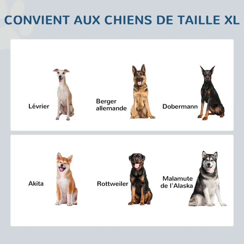 PawHut Gamelles chiens surélevées gamelle double chien chat Porte-gamelles surélevé dim. 60L x 30l x 41H cm 2 gamelles 2L poignées coffre bois gris