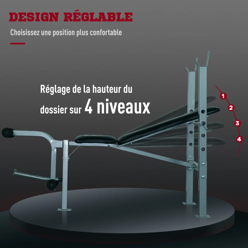 HOMCOM Lot de banc de musculation et haltères courtes total 25 Kg - dossier réglable haltères à poids réglable barres incluses